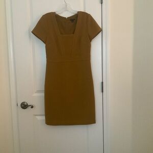 Ann Taylor Dress